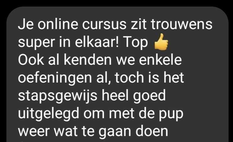 Review starterskit